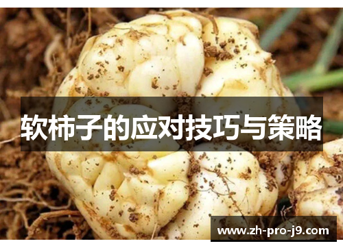 软柿子的应对技巧与策略