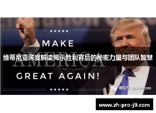 维蒂尼亚深度解读揭示胜利背后的秘密力量与团队智慧