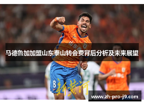马德鲁加加盟山东泰山转会费背后分析及未来展望