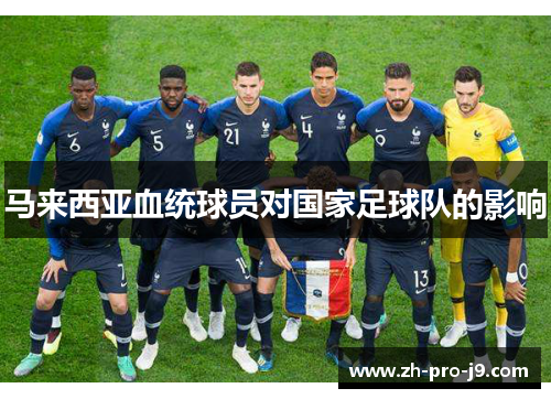 马来西亚血统球员对国家足球队的影响