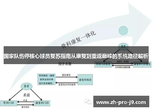 国家队伤停核心球员复苏指南从康复到重返巅峰的系统路径解析